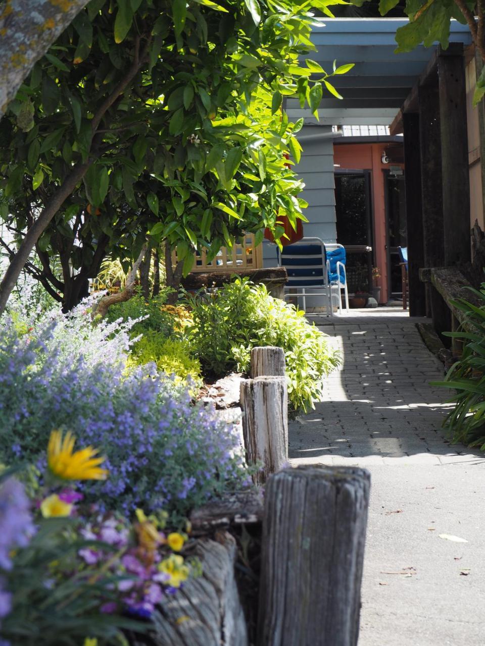 Tasman Bay Backpackers Hostel Nelson Exterior foto